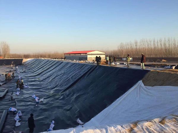 魚(yú)塘土工膜防滲